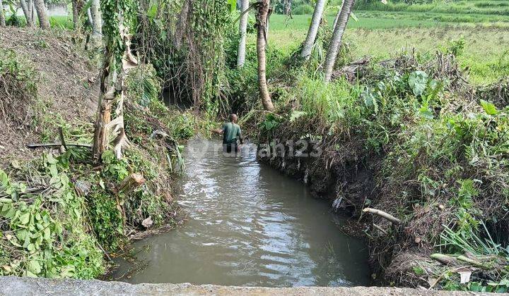 TANAH VIEW SAWAH DAN SUNGAI CANTIK DI UBUD SIAP BANGUN  2