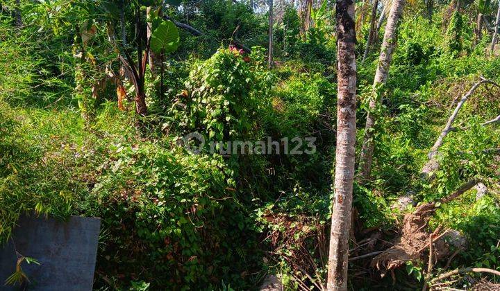 Tanah dalam komplek villa keren di Ubud area harga murah  2