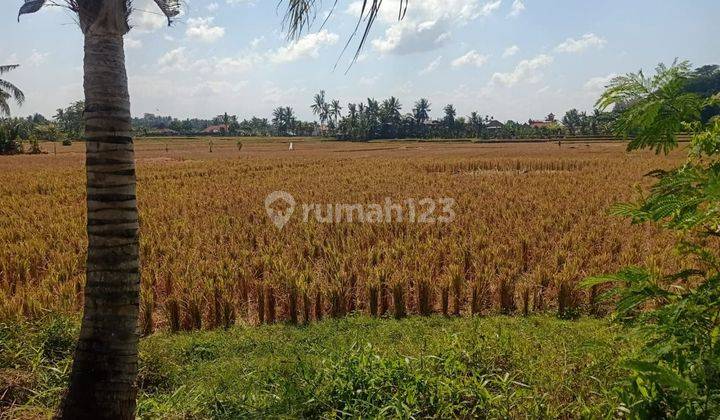 TANAH VIEW SAWAH DAN GUNUNG CANTIK DI UBUD  1