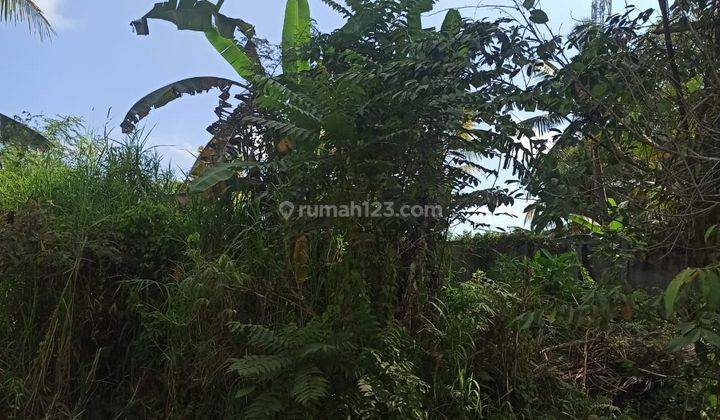 TANAH VIEW SAWAH DAN SUNGAI CANTIK LINGKUNGAN VILLA  1