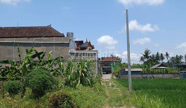 TANAH LINGKUNGAN VILLA VIEW SAWAH DAN JUNGLE SIAP BANGUN VILLA  1