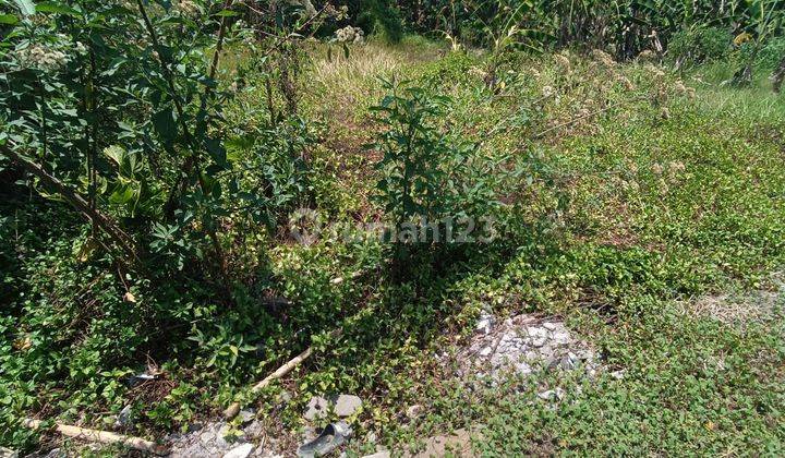 TANAH LINGKUNGAN VILLA VIEW SAWAH DAN JUNGLE SIAP BANGUN VILLA  2