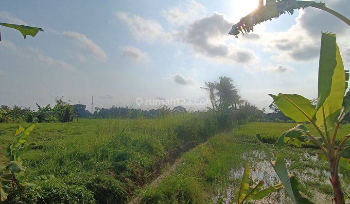 TANAH SEWA VIEW SUNSET SAWAH CANTIK COCOK VILLA RENTAL  2