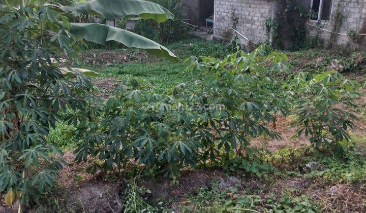 TANAH SEWA DI CENTRAL UBUD COCOK BISNIS SEWA VILLA 2