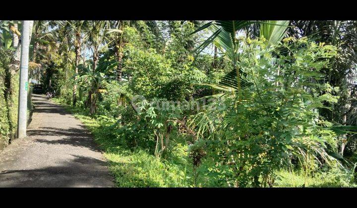 COOL JUNGLE RICE RICE VIEW LAND IN NORTH BAYAD UBUD  2