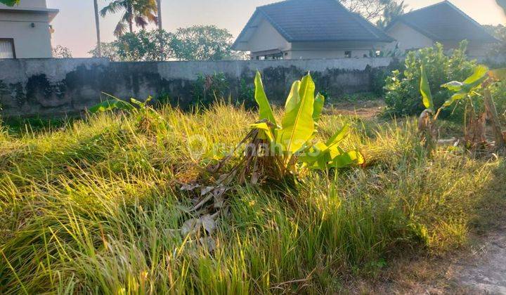 COOL LOS RIVER JUNGLE RICE PICE LAND IN A VILLA COMPLEX  2