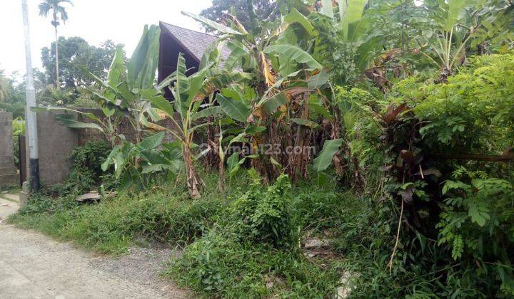 TANAH SEWA VIEW CANTIK DI UBUD COCOK VILLA  1