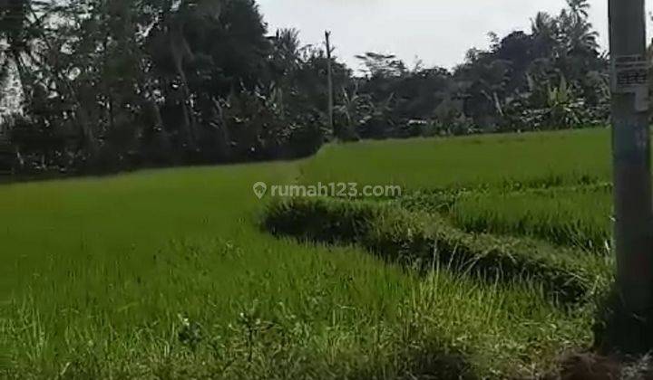 TANAH PINGGIR JALAN RAYA COCOK RESTORAN VIEW SAWAH DAN SUNGAI  1