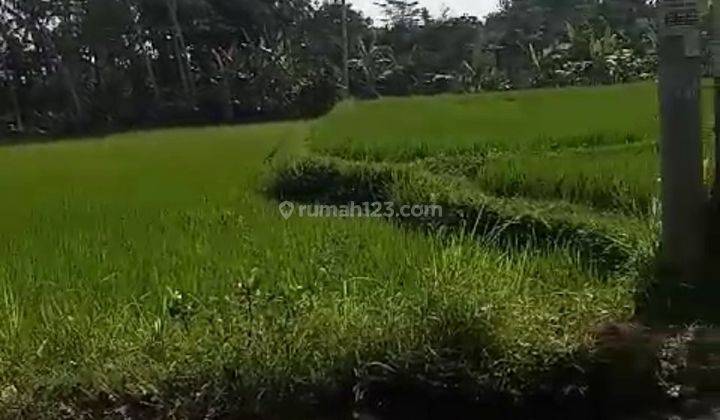 TANAH PINGGIR JALAN RAYA COCOK RESTORAN VIEW SAWAH DAN SUNGAI  2