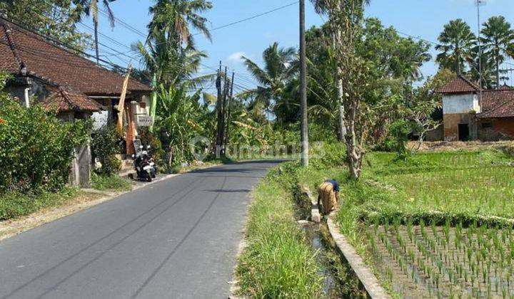 TANAH SEWA LOKASI DI CENTER UBUD COCOK VILLA DAN RESTORAN  2