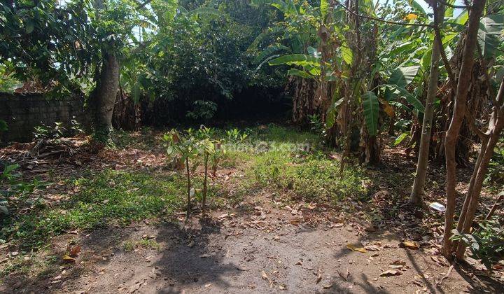 TANAH VIEW SAWAH ABADI DI LODTUNDUH UBUD  1