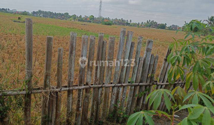 TANAH VIEW SAWAH KEREN SIAP BANGUN VILLA 2