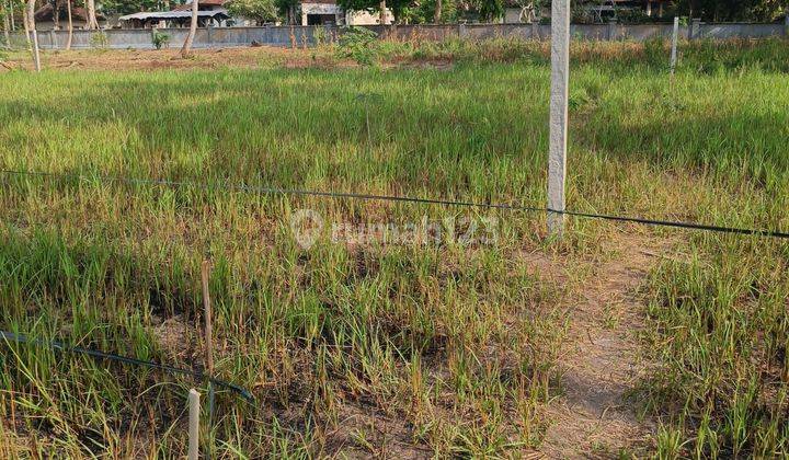 CHEAP PLOT LAND IN LODTUNDUH UBUD SURROUNDING VILLA  2