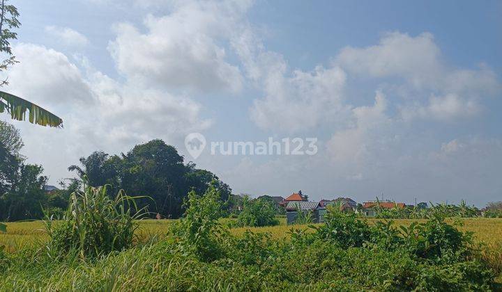 TANAH VIEW SAWAH CANTIK COCOK VILLA RENTAL LOKASI STRATEGIS  2