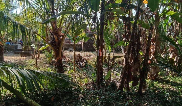 SMALL SIZE JUNGLE VIEW LAND FOR RENT IN UBUD AREAS 1