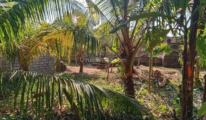 SMALL SIZE JUNGLE VIEW LAND FOR RENT IN UBUD AREAS 2