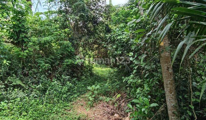 TANAH VIEW SUNGAI SAWAH JUNGLE PALING MURAH DI UBUD 2