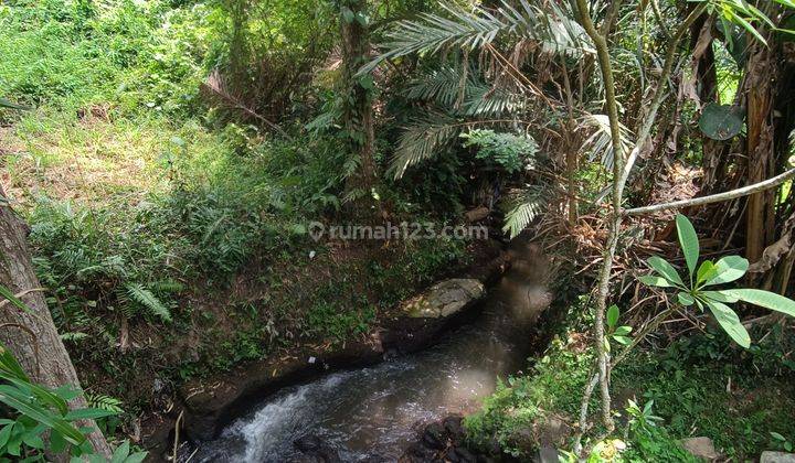 TANAH VIEW SUNGAI SAWAH JUNGLE PALING MURAH DI UBUD 1