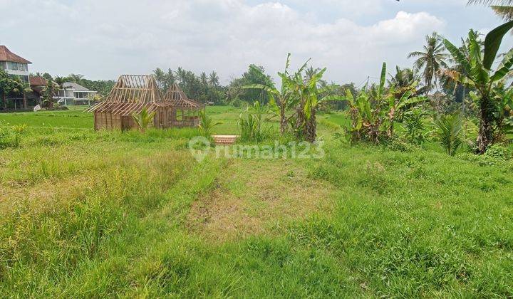 TANAH SEWA DALAM KOMPLEK VILLA VIEW SAWAH CANTIK  1