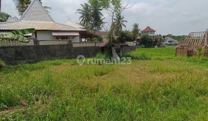 TANAH SEWA DALAM KOMPLEK VILLA VIEW SAWAH CANTIK  2