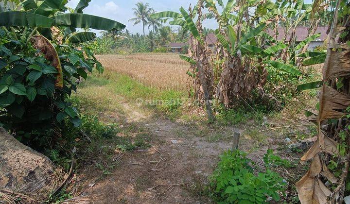 TANAH VIEW SAWAH ABADI LINGKUNGAN VILLA COCOK VILLA RENTAL  1