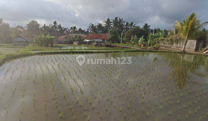 LAND FOR RENT RICE VIEW UBUD VILLA ENVIRONMENT 1