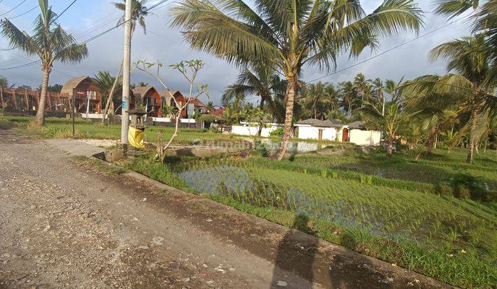 LAND FOR RENT RICE VIEW UBUD VILLA ENVIRONMENT 2