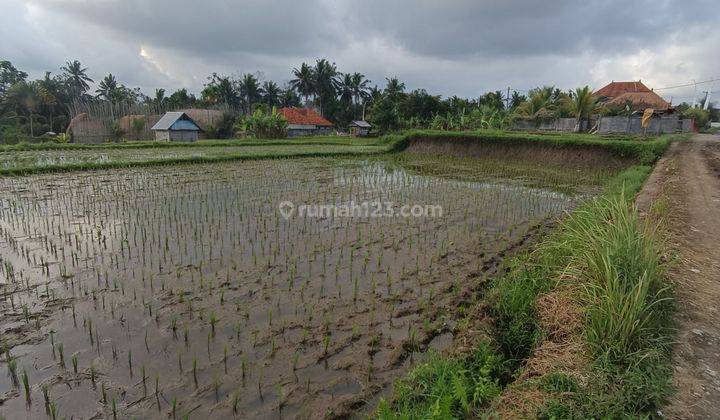 TANAH SEWA LINGKUNGAN VILLA KEREN VIEW SAWAH  1