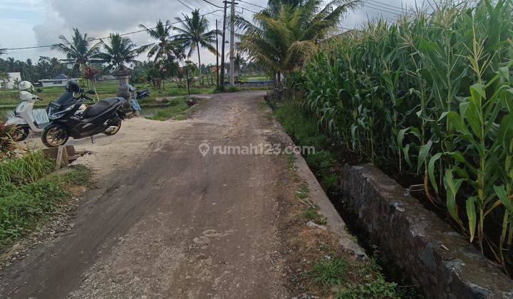 TANAH SEWA LINGKUNGAN VILLA KEREN VIEW SAWAH  2