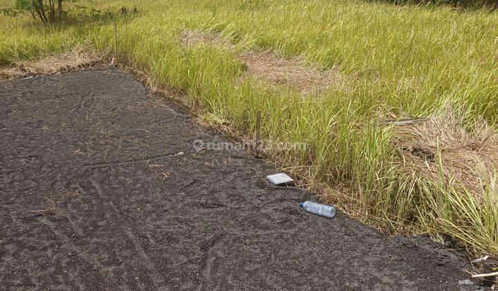 LAND IN THE LODTUNDUH VILLA COMPLEX IS READY TO BUILD  1