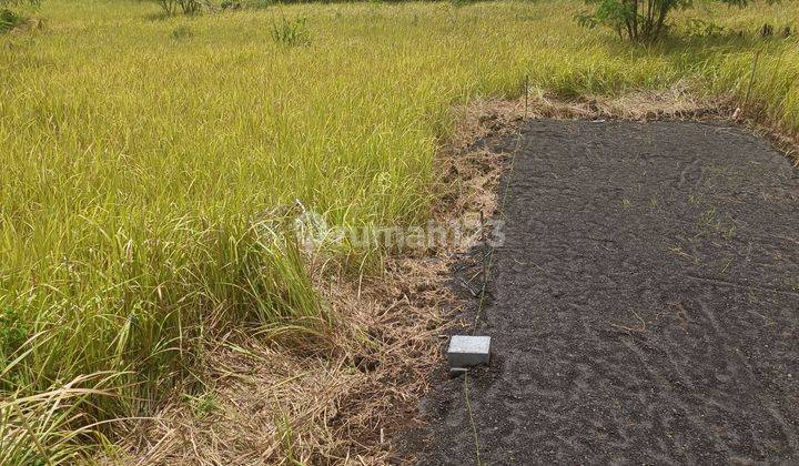 LAND IN THE LODTUNDUH VILLA COMPLEX IS READY TO BUILD  2