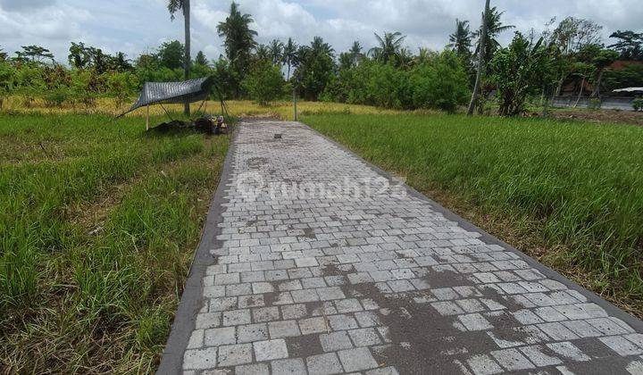 TANAH VIEW JUNGLE CANTIK DI LODTUNDUH SIAP BANGUN  2