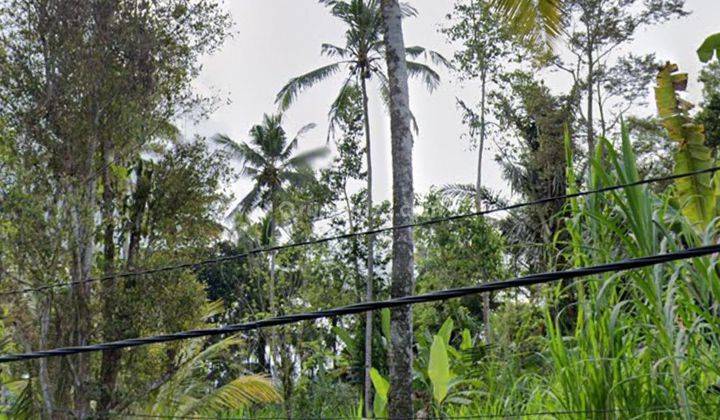 TANAH MURAH COCOK VILLA VIEW JUNGLE PINGGIR JALAN ASPAL  1