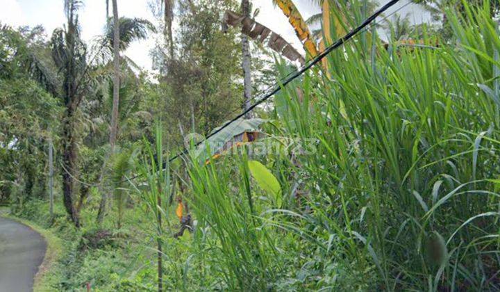 TANAH MURAH COCOK VILLA VIEW JUNGLE PINGGIR JALAN ASPAL  2