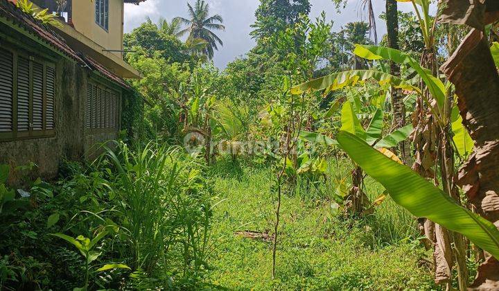 TANAH VIEW SUNGAI JUNGLE CLIFF TERMURAH DI UBUD AREA 2