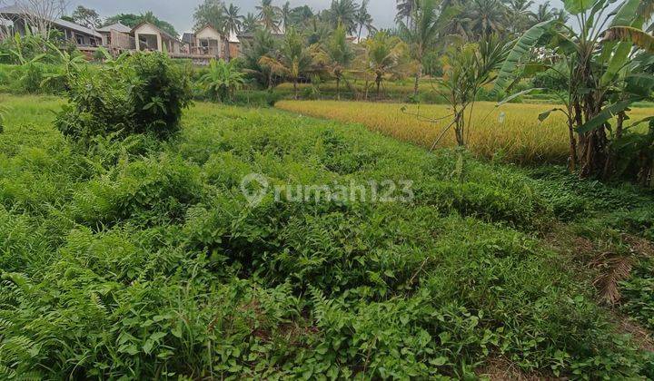 TANAH VIEW CANTIK DALAM KOMPLEK VILLA MEWAH SIAP BANGUN  2