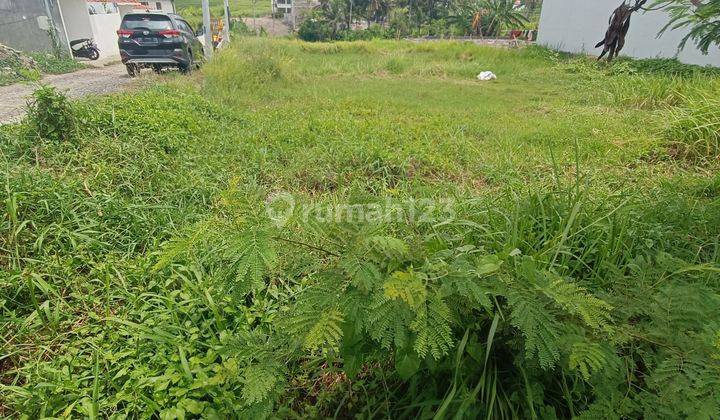 TANAH PINGGIR JALAN ASPAL VIEW SAWAH COCOK VILLA / HOTEL 1