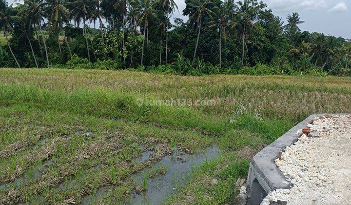 TANAH VIEW CANTIK SIAP BANGUN HARGA MURAH DI PERERENAN  1