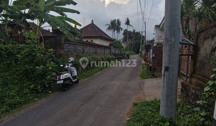 TANAH PINGGIR JALAN ASPAL COCOK VILLA RENTAL  1