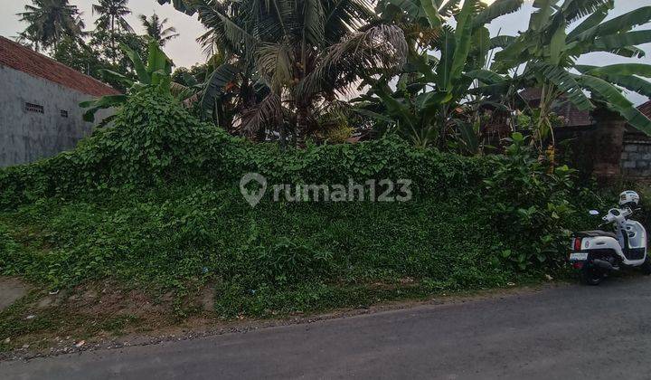 TANAH PINGGIR JALAN ASPAL COCOK VILLA RENTAL  2