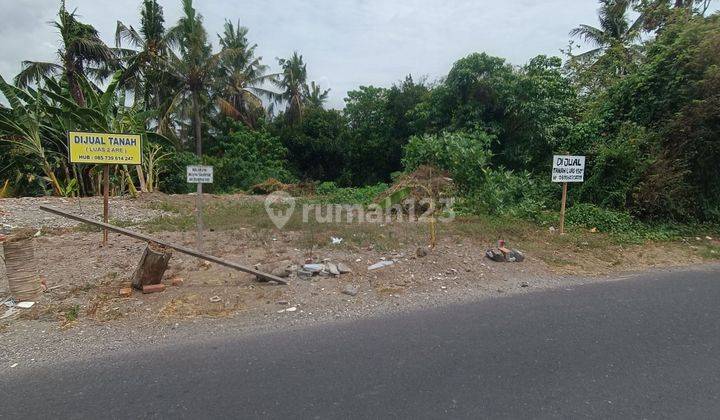 LAND VIEW RIVER JUNGLE RICE POWDER COOL ASPHALT ROAD 2