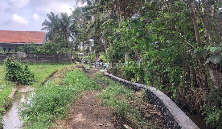 TANAH COCOK VILLA RENTAL DI SINGAKERTHA UBUD  2