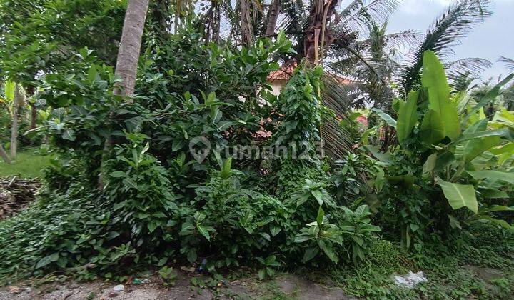 LAND FOR RENT NEAR SABA GIANYAR BEACH  2