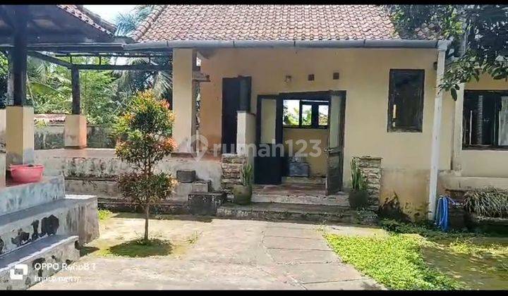 TANAH BONUS VILLA LAMA LOKASI BAGUS DAN TENANG  1