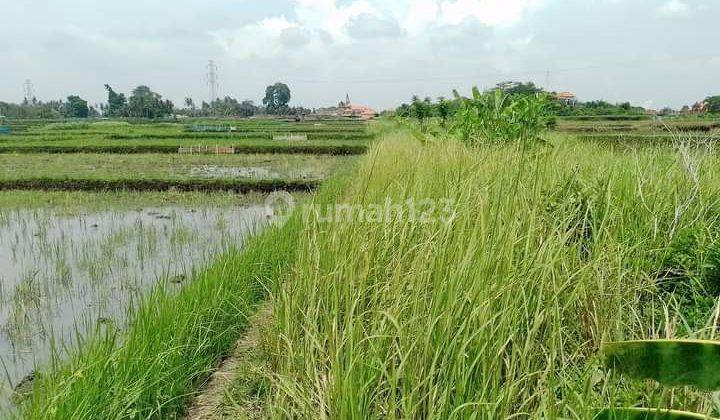 TANAH VIEW SUPER KEREN DI LODTUNDUH UBUD  1