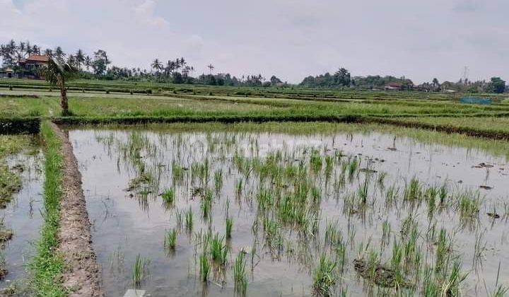 TANAH VIEW SUPER KEREN DI LODTUNDUH UBUD  2