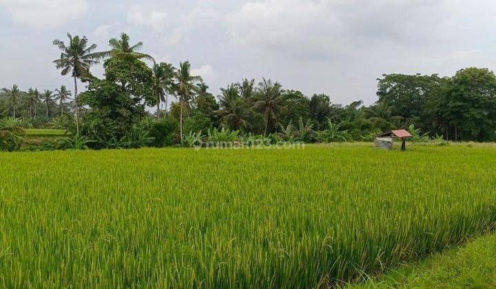 TANAH SEWA VIEW KEREN ZONA KUNING SIAP BANGUN  1