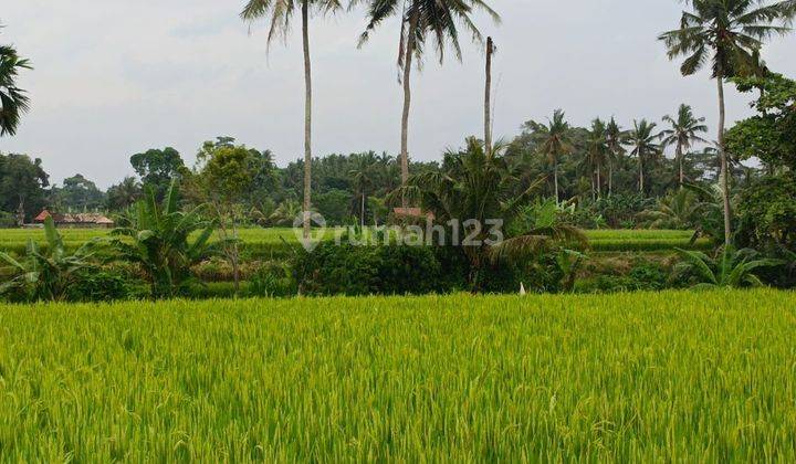 TANAH SEWA VIEW KEREN ZONA KUNING SIAP BANGUN  2