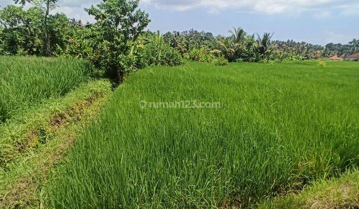 TANAH SIAP BANGUN ZONA KUNING LINGKUNGAN VILLA  1