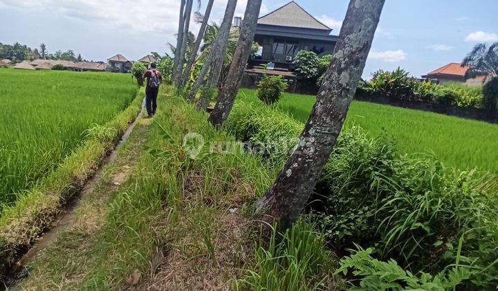 TANAH SIAP BANGUN ZONA KUNING LINGKUNGAN VILLA  2